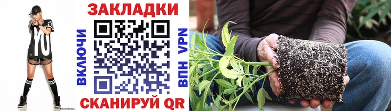 Псилоцибиновые грибы Екатеринбург