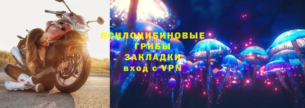 дмт Семилуки