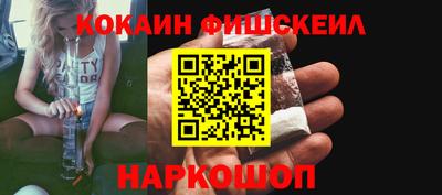 индика Гатчина