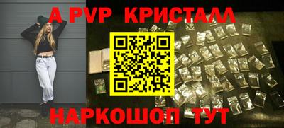 индика Гатчина