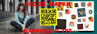 индика Гатчина