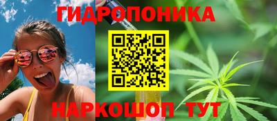 сатива Гай