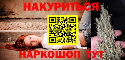 индика Гатчина