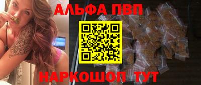 сатива Гай