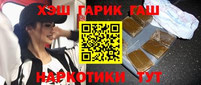 сатива Гай