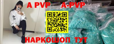 индика Гатчина