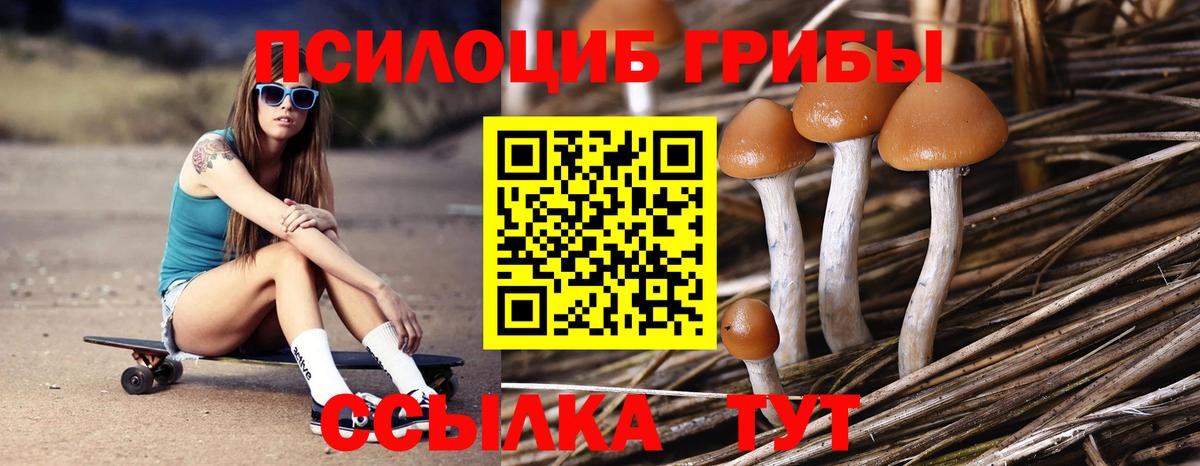 купить   Галлюциногенные грибы мицелий  Вход с VPN  Екатеринбург  Псилоцибиновые грибы Magic Shrooms 