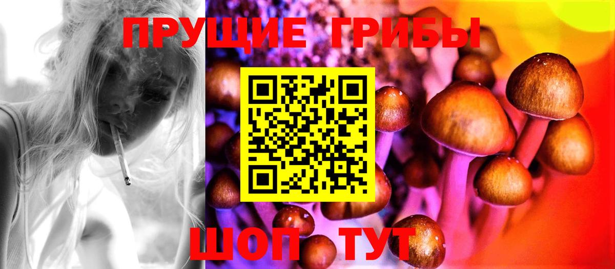 Галлюциногенные грибы Psilocybe  Екатеринбург  Галлюциногенные грибы мицелий 